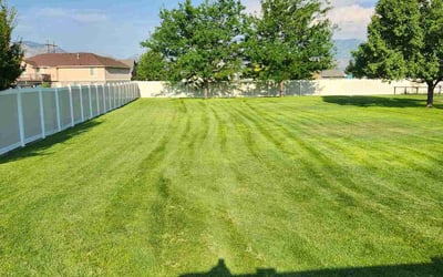 Photo of Joann H.'s yard after getting lawn care in Clinton, UT