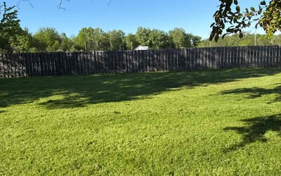 Photo of Zion O.'s yard after getting lawn care in Louisburg, NC