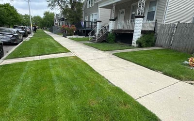 Photo of Sandra T.'s yard after getting lawn care in Justice, IL