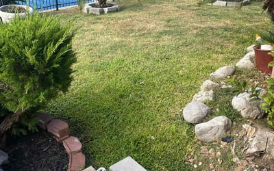 Photo of Natalie J.'s yard after getting lawn care in Cypress, TX