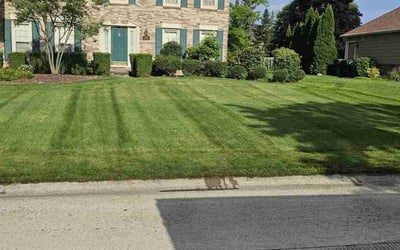 Photo of Marion G.'s yard after getting lawn care in Rochester Hills, MI