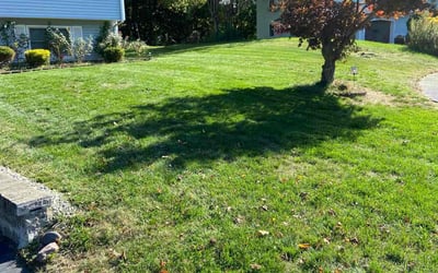 Photo of Richard H.'s yard after getting lawn care in Randolph, MA