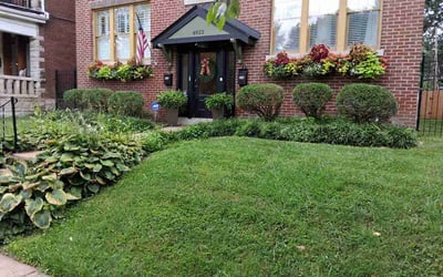 Photo of Damien B.'s yard after getting lawn care in Huntsville, AL
