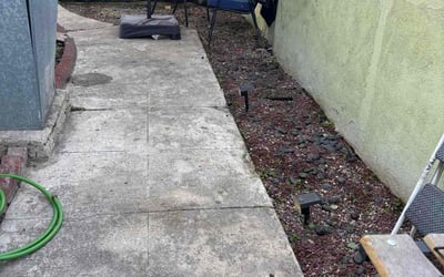 Photo of Mallory B.'s yard after getting lawn care in Broomfield, CO