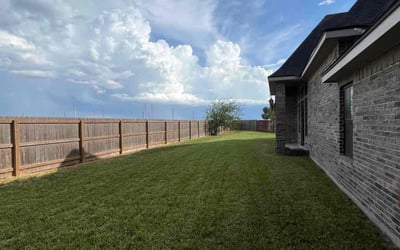Photo of Dan M.'s yard after getting lawn care in McAllen, TX