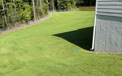 Photo of Lakendra W.'s yard after getting lawn care in Branson, MO