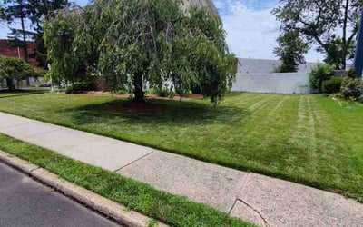 Photo of Kevin W.'s yard after getting lawn care in Union City, NJ