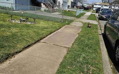 Photo of Maegan B.'s yard after getting lawn care in Haledon, NJ
