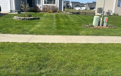 Photo of Joyce H.'s yard after getting lawn care in Waukee, IA