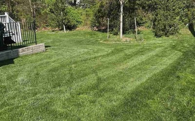 Photo of Catherine M.'s yard after getting lawn care in Woodbridge, VA
