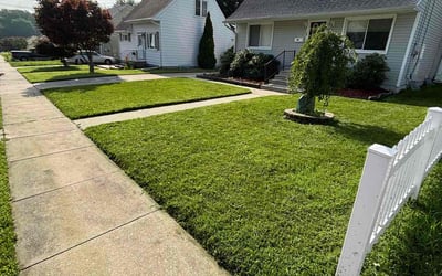 Photo of Jean F.'s yard after getting lawn care in Palm Coast, FL