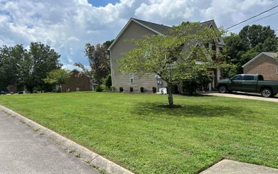 Photo of Dylan M.'s yard after getting lawn care in West Haven, CT