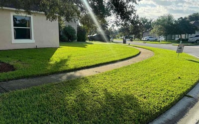 Photo of Dario M.'s yard after getting lawn care in Warwick, RI