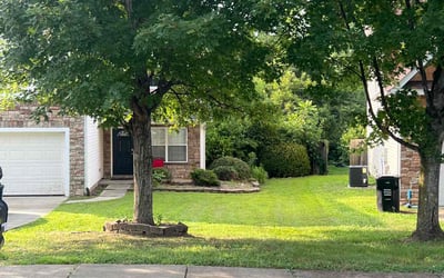 Photo of Lacey V.'s yard after getting lawn care in Camas, WA