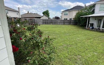 Photo of Christine K.'s yard after getting lawn care in Middle Village, NY