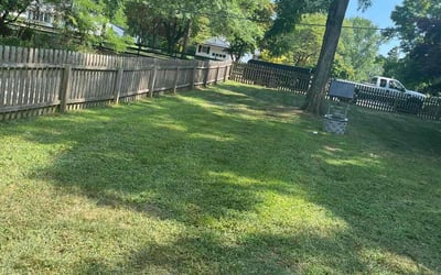Photo of Juana W.'s yard after getting lawn care in Long Branch, NJ