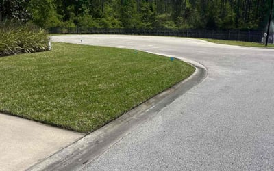 Photo of Walter H.'s yard after getting lawn care in Jacksonville, FL