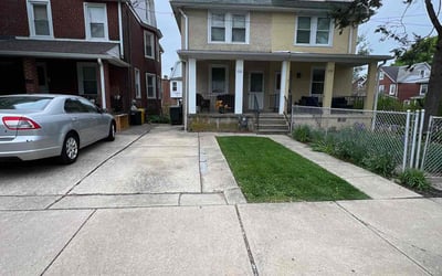 Photo of Mark C.'s yard after getting lawn care in Ardmore, PA