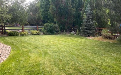 Photo of Claudine H.'s yard after getting lawn care in Monument, CO