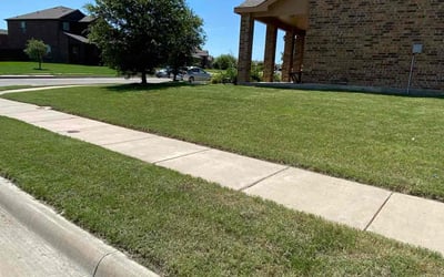 Photo of Misty W.'s yard after getting lawn care in Silver Spring, MD
