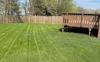 Photo of Ethel L.'s yard after getting lawn care in Davenport, IA