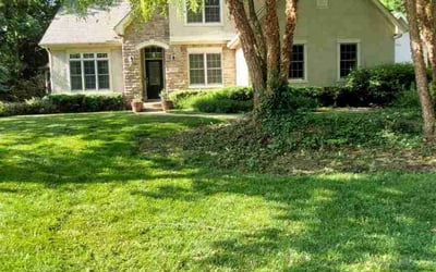 Photo of Paul S.'s yard after getting lawn care in Powell, OH