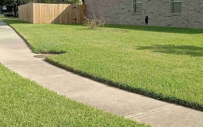 Photo of Dan H.'s yard after getting lawn care in Tomball, TX