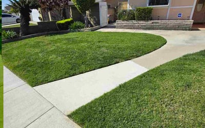 Photo of Cyndi W.'s yard after getting lawn care in Lakewood, CA