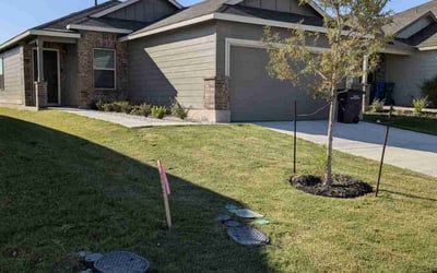 Photo of May K.'s yard after getting lawn care in Olney, MD