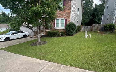 Photo of Jen Z.'s yard after getting lawn care in Urbandale, IA