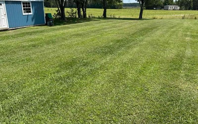 Photo of Riley A.'s yard after getting lawn care in Kirkland, WA