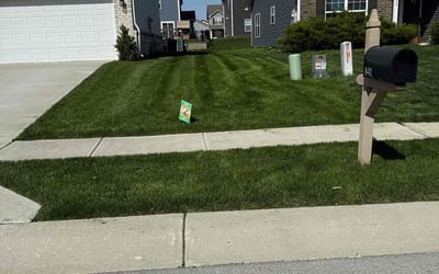 Photo of Walter H.'s yard after getting lawn care in Elwood, IN