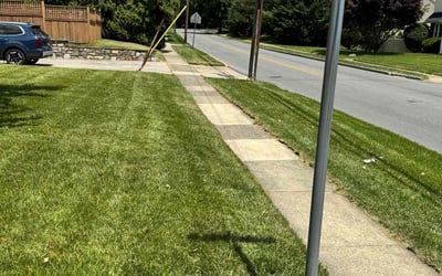 Photo of Valeria M.'s yard after getting lawn care in Ardmore, PA