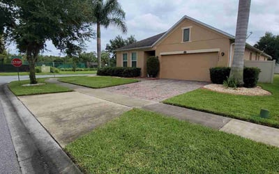 Photo of Anibal A.'s yard after getting lawn care in Lady Lake, FL