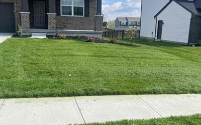 Photo of Dimaurie O.'s yard after getting lawn care in Walton, KY