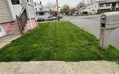 Photo of Patricia C.'s yard after getting lawn care in West Haven, CT