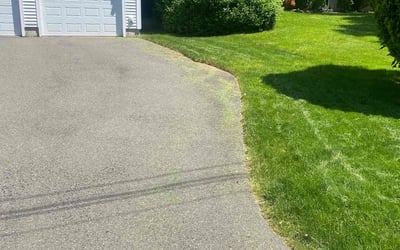 Photo of Alison H.'s yard after getting lawn care in South Windsor, CT