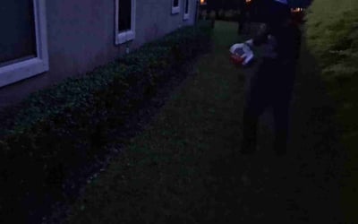 Photo of Pal H.'s yard after getting tree care in Charles Town, WV