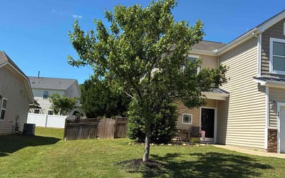 Photo of Phillip L.'s yard after getting lawn care in Shreveport, LA