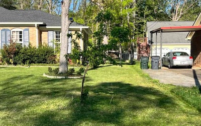 Photo of Rachael B.'s yard after getting lawn care in Durham, NC
