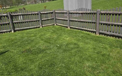 Photo of Polly B.'s yard after getting lawn care in Romeoville, IL