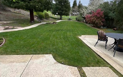 Photo of Marilynn H.'s yard after getting lawn care in Danville, CA