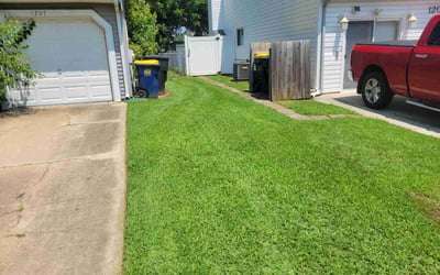 Photo of Robert H.'s yard after getting lawn care in Wheaton, IL
