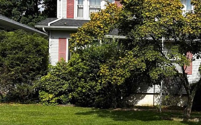 Photo of Xavier S.'s yard after getting lawn care in Keyport, NJ