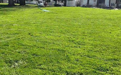 Photo of Georgia C.'s yard after getting lawn care in Boardman, OH