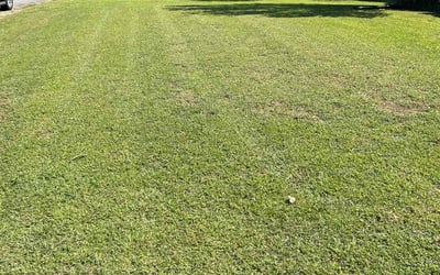 Photo of Connie B.'s yard after getting lawn care in Matthews, NC