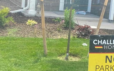 Photo of Gregg F.'s yard after getting lawn care in Fountain, CO