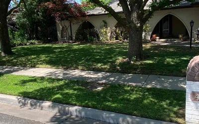Photo of Emily L.'s yard after getting lawn care in Okmulgee, OK