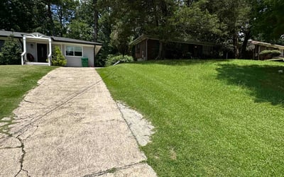 Photo of Jason R.'s yard after getting lawn care in Tavares, FL