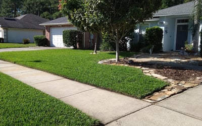 Photo of Pat S.'s yard after getting lawn care in Valencia, CA